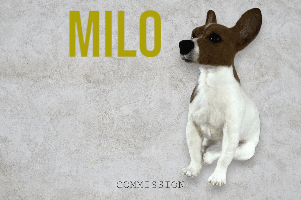 Milo - Jack Russell Commission